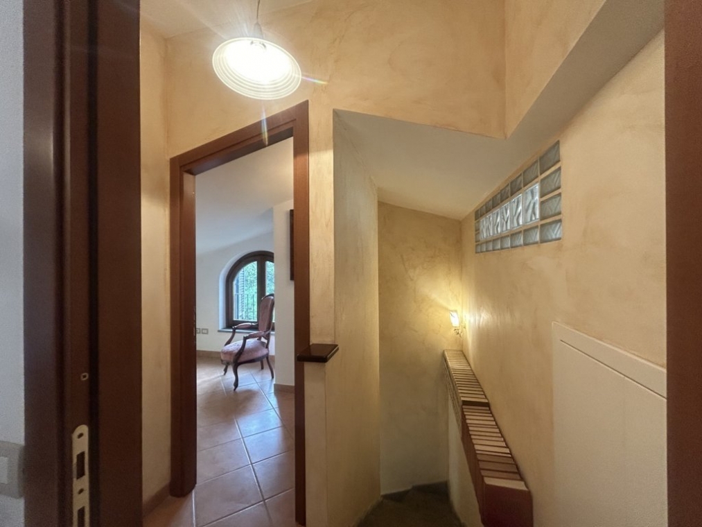 IMG_0942 (FILEminimizer).jpg